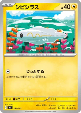 シビシラス
