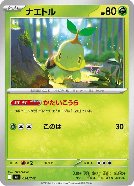 ナエトル 034/742