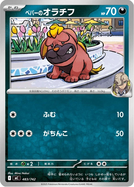 ペパーのオラチフ 483/742