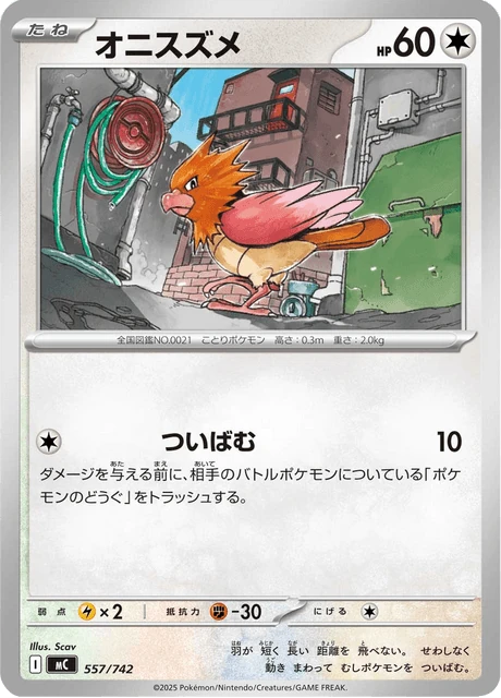 オニスズメ 557/742