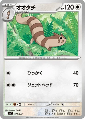 オオタチ