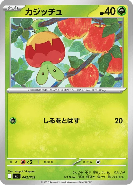 カジッチュ 062/742
