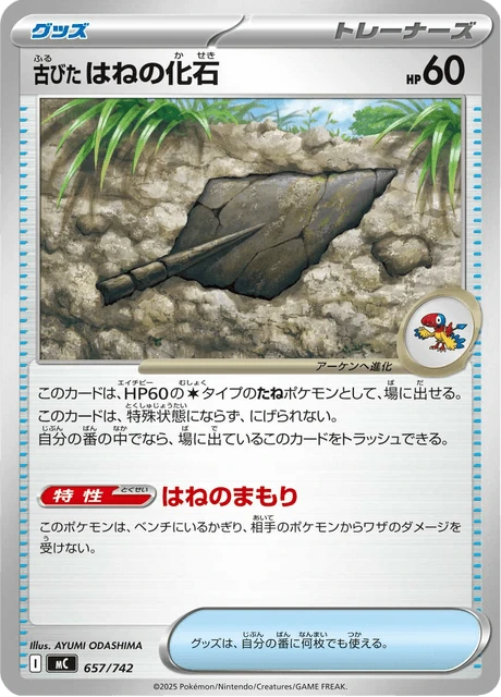 古びたはねの化石 657/742