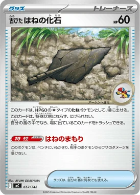 古びたはねの化石