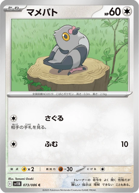 マメパト