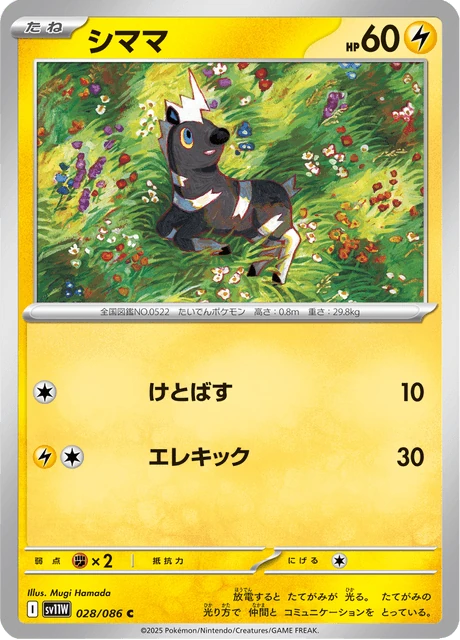 シママ