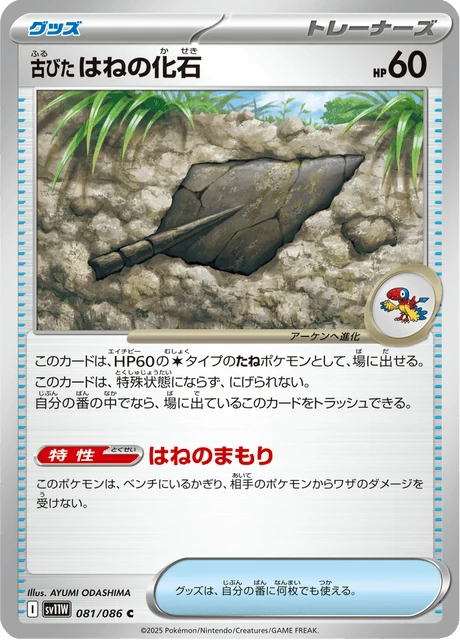 古びたはねの化石