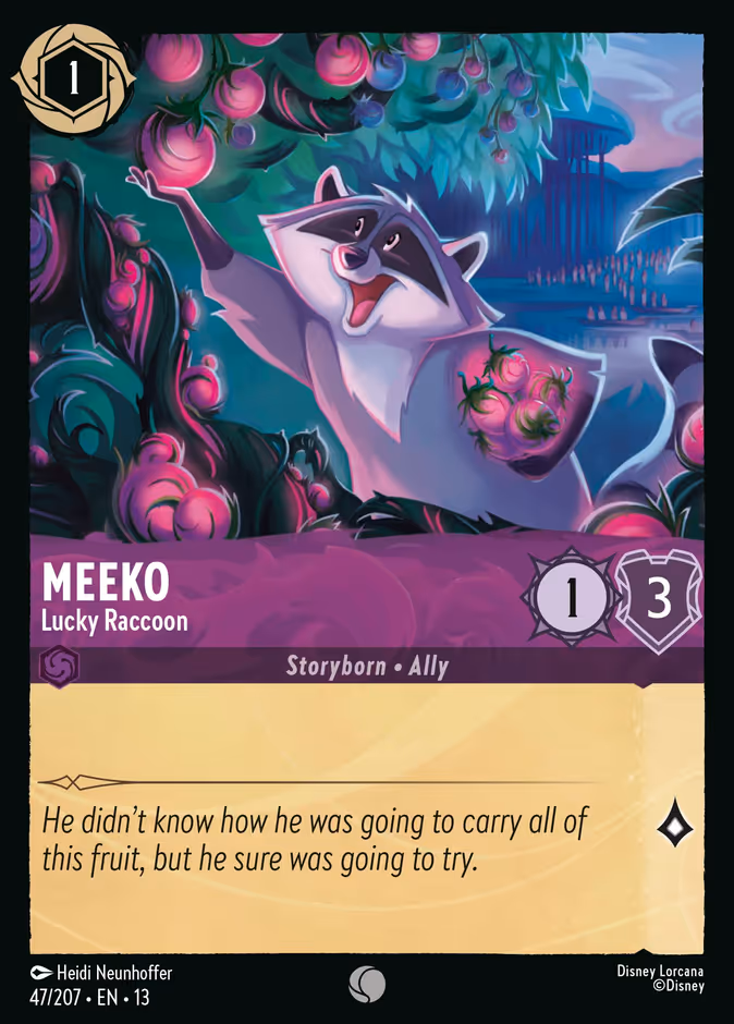 Meeko — Lucky Raccoon 47