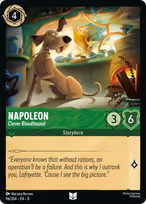Napoleon — Clever Bloodhound