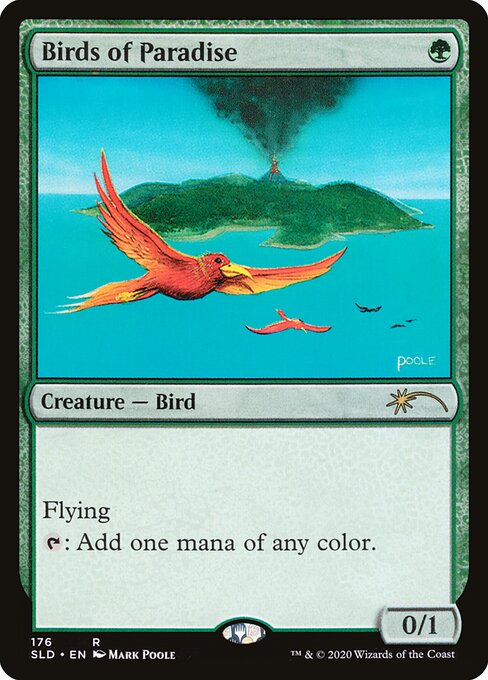 Birds of Paradise 176