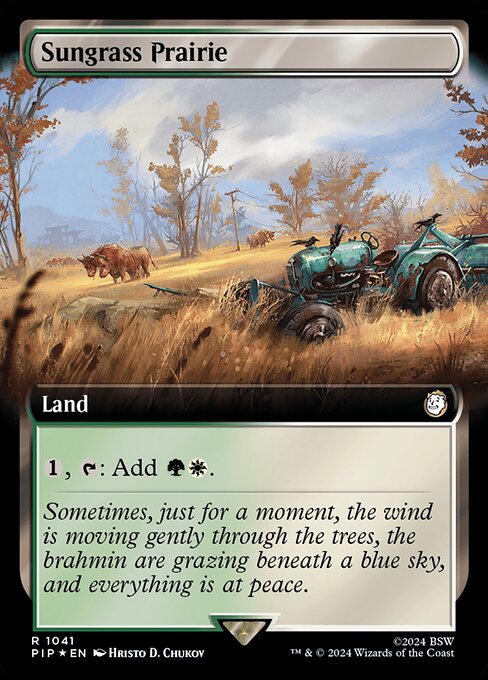 Sungrass Prairie 1041