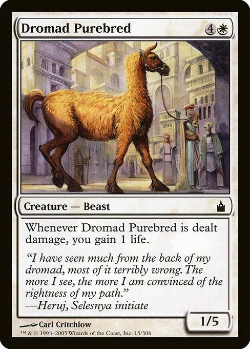 Dromad Purebred 15