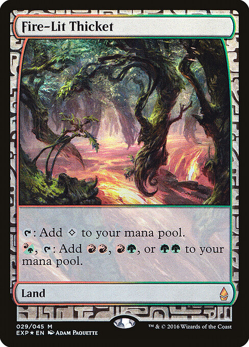 Fire-Lit Thicket 29