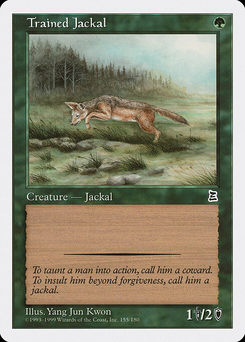 Trained Jackal 155