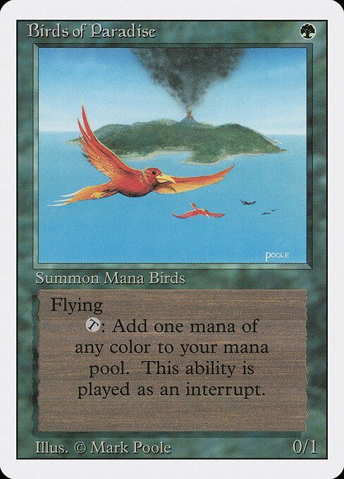 Birds of Paradise 187