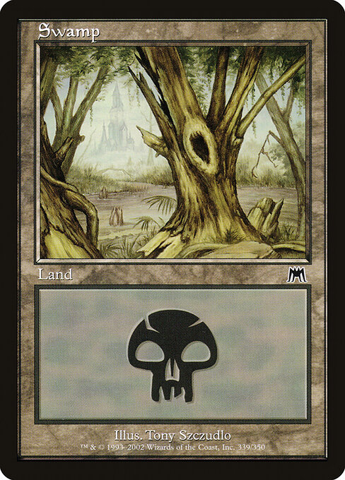 Swamp 339