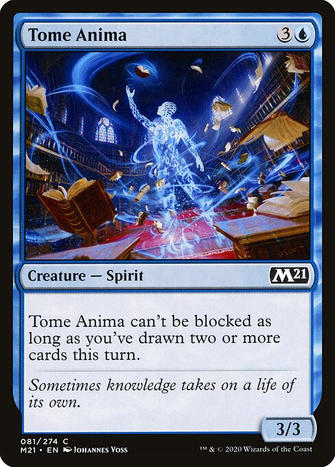 Tome Anima 81