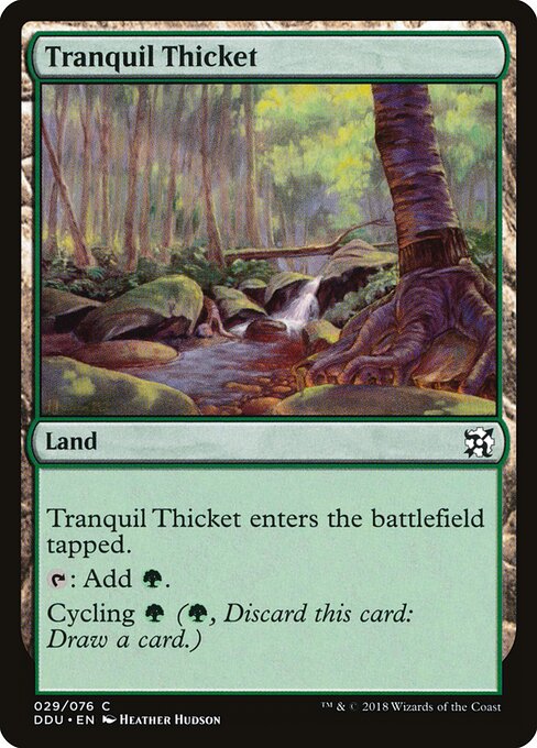 Tranquil Thicket 29
