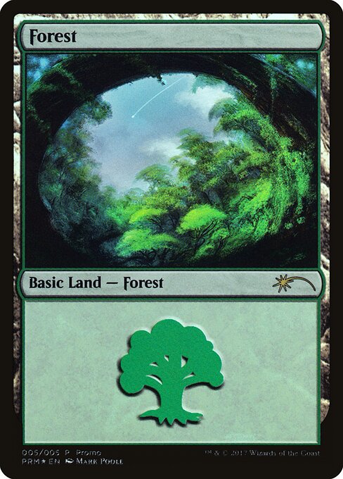 Forest 5