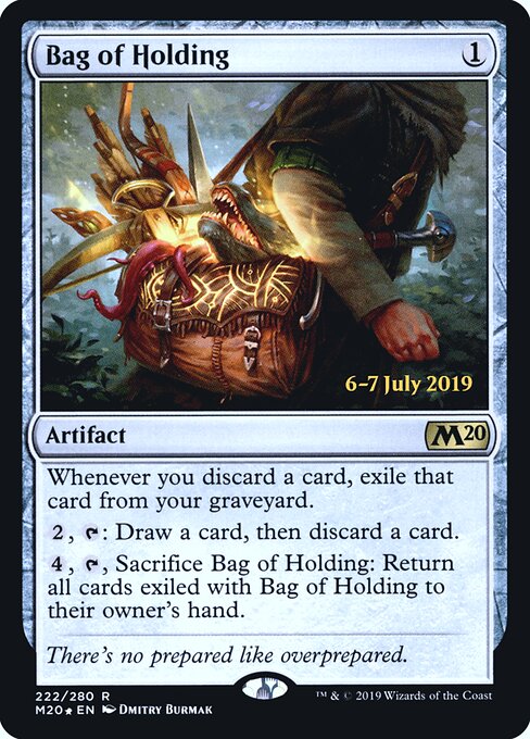 Bag of Holding 222s