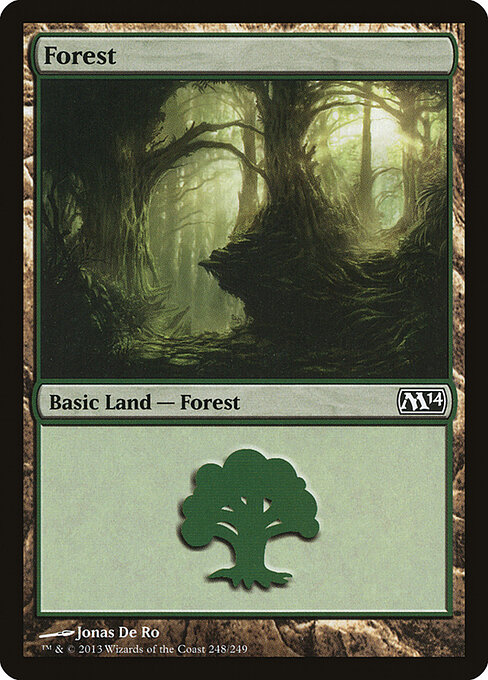 Forest 248