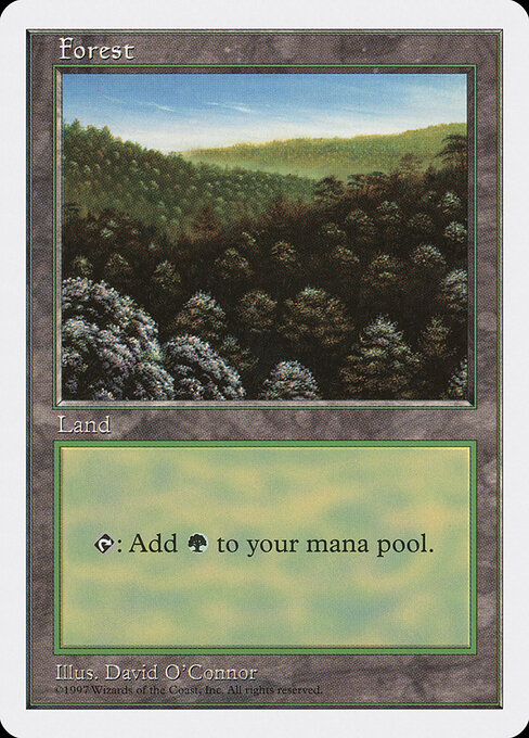 Forest 446