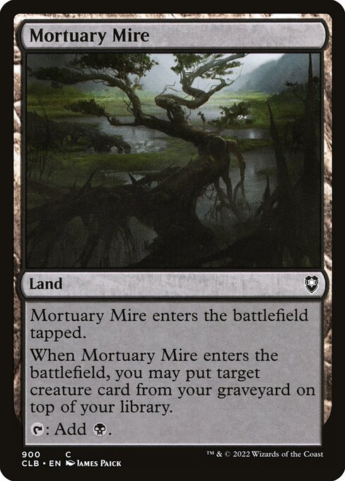 Mortuary Mire 900