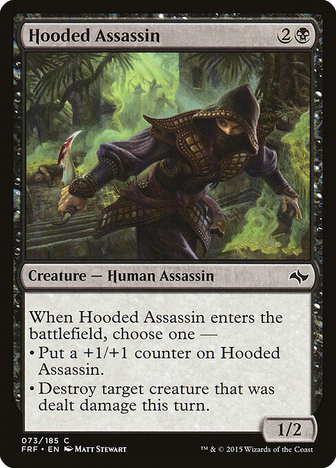 Hooded Assassin 73
