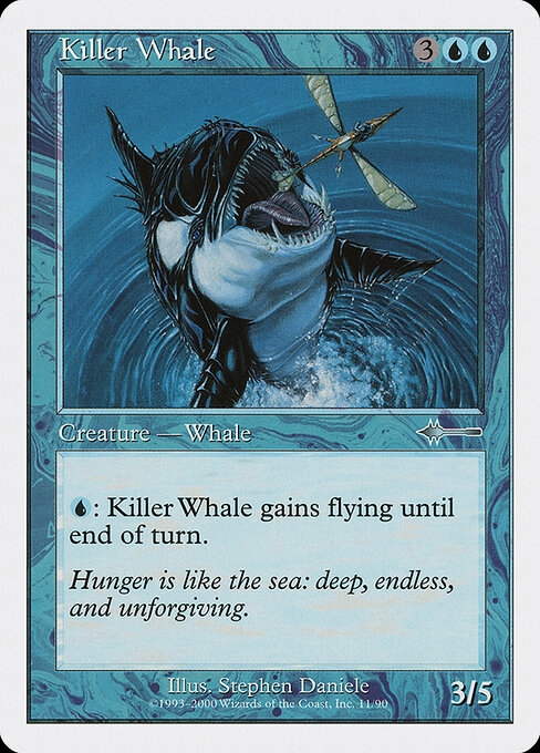 Killer Whale 11