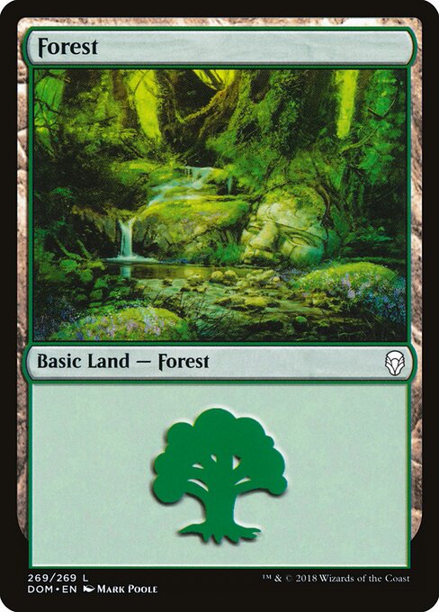 Forest 269