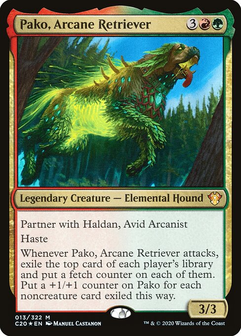 Pako, Arcane Retriever 13