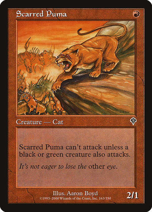 Scarred Puma 163