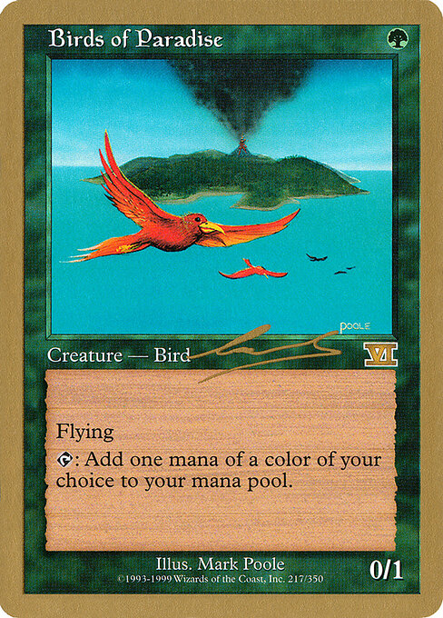 Birds of Paradise nl217