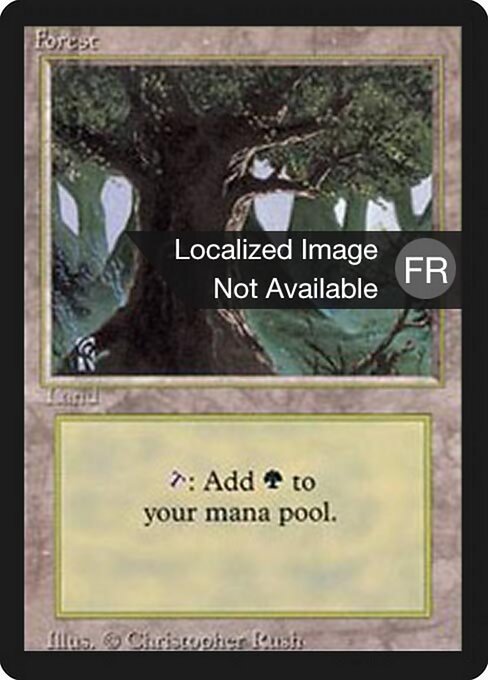 Forest 304