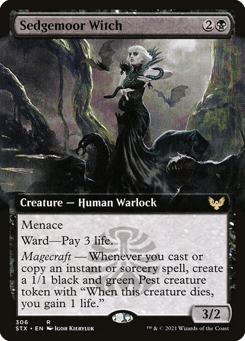 Sedgemoor Witch 306
