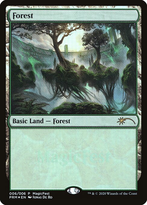 Forest 6