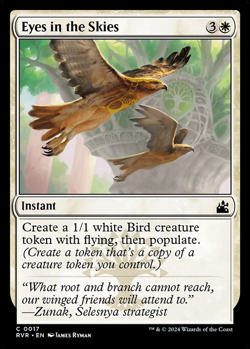 Eyes in the Skies 17