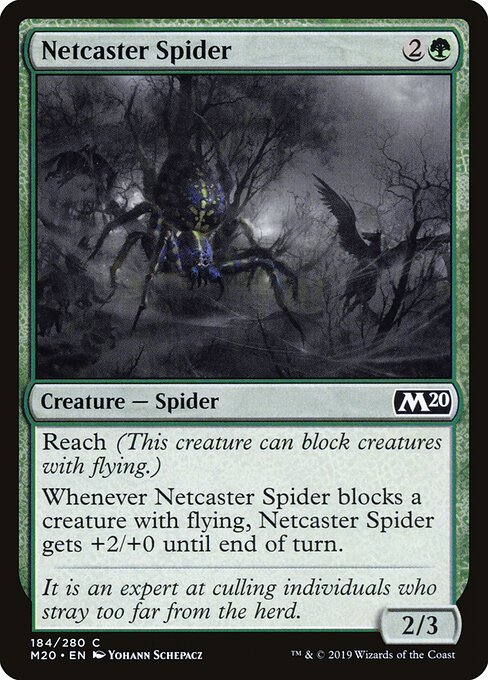 Netcaster Spider 184