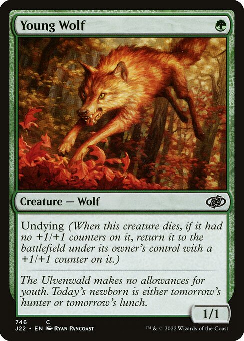 Young Wolf 746