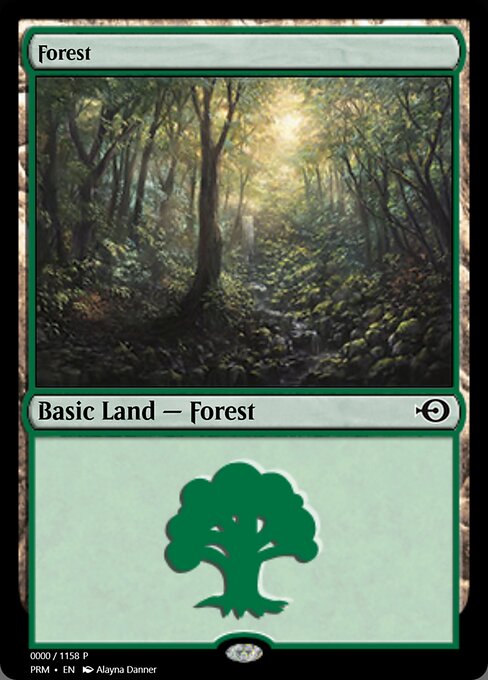 Forest 73628