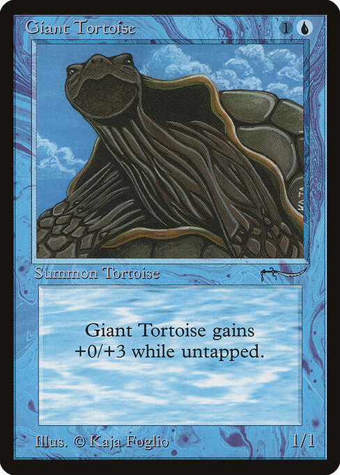 Giant Tortoise 15