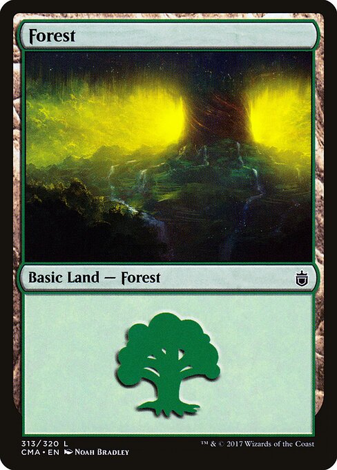 Forest 313