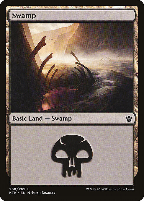 Swamp 258