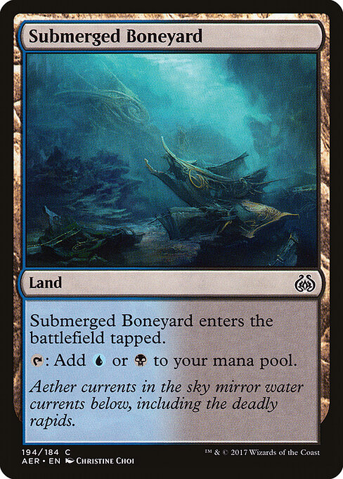 Submerged Boneyard 194