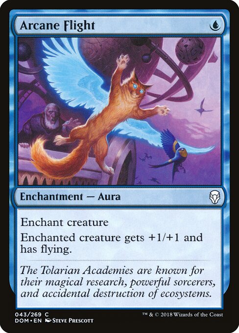 Arcane Flight 43