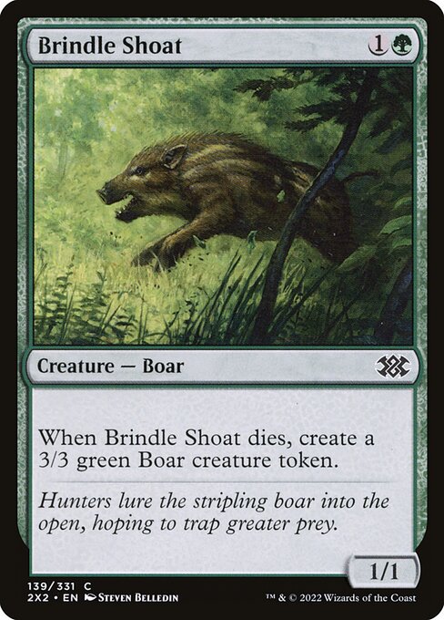 Brindle Shoat 139
