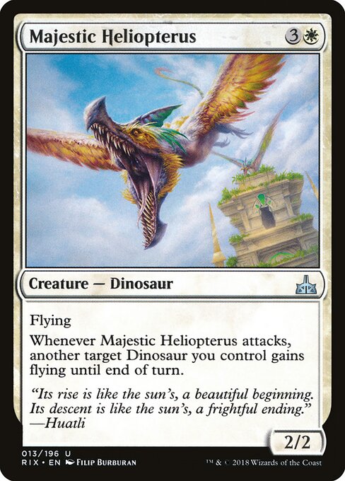 Majestic Heliopterus 13