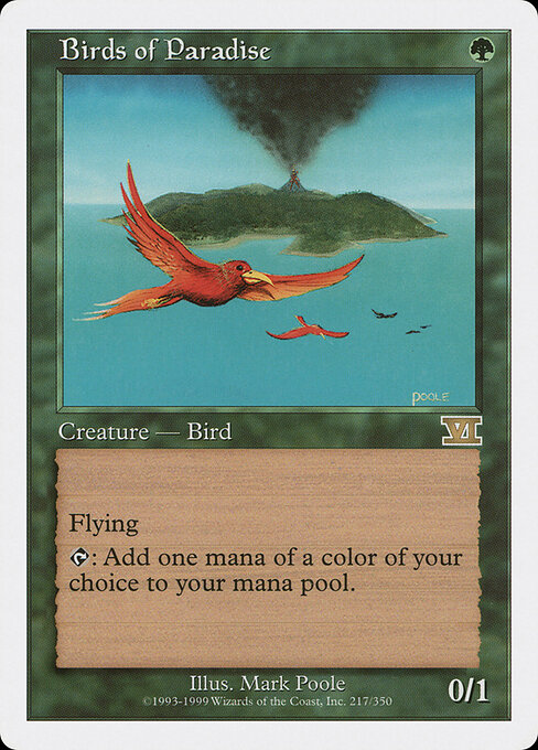 Birds of Paradise 217