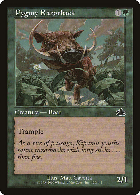 Pygmy Razorback 120
