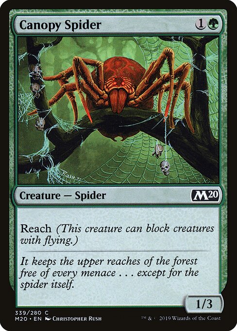 Canopy Spider 339